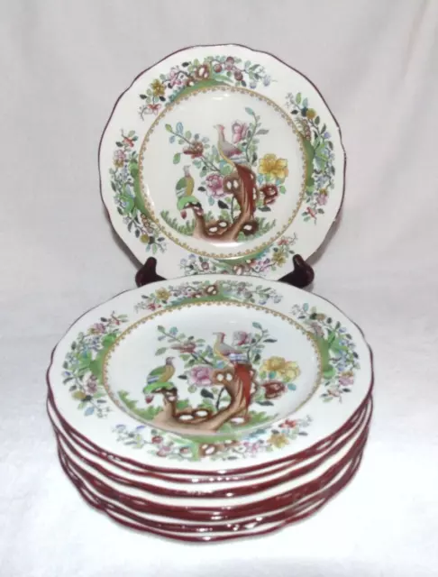 11 Copeland Late Spode Waring & Willow Oxford Street Salad Plates Pheasant