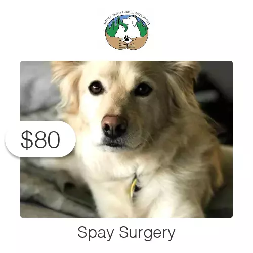 $80 Charitable Donation For: Dog or Cat Spay