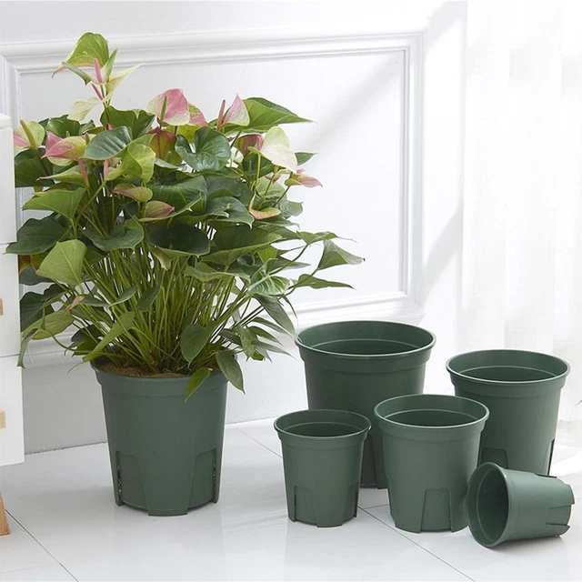 de bureau Plastique Pots de fleurs Pot de Plante Boîte succulente Planteur