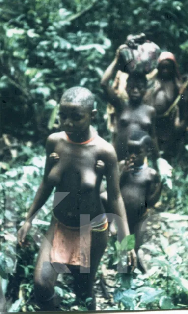 altes Foto Belgisch-Kongo afrikanische Frauen im Grünen, 1956, 1950er, 15x10cm