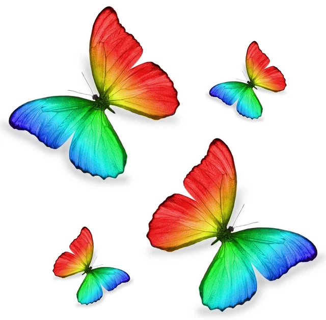 Set De 4 Autocollants Papillon Pour Voiture/moto - Marron/violet 10x7cm Et 5x3cm