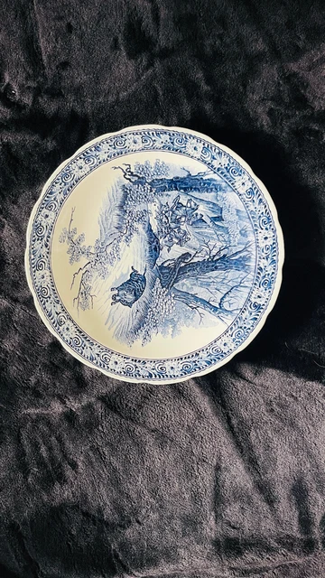 Grand Saladier Plat Vintage Arcopal France H 10 D 25,4 Cm Décor