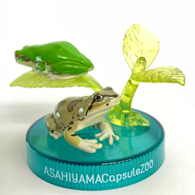 Kaiyodo Asahiyama Capsule Zoo Vol. 5 Mini Vignette Figure Japanese Tree Frog