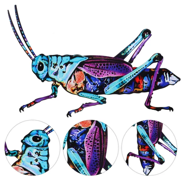 Beetle Grasshopper decoration 20CM Home Crafts Beetle Wall Decoration  Garden