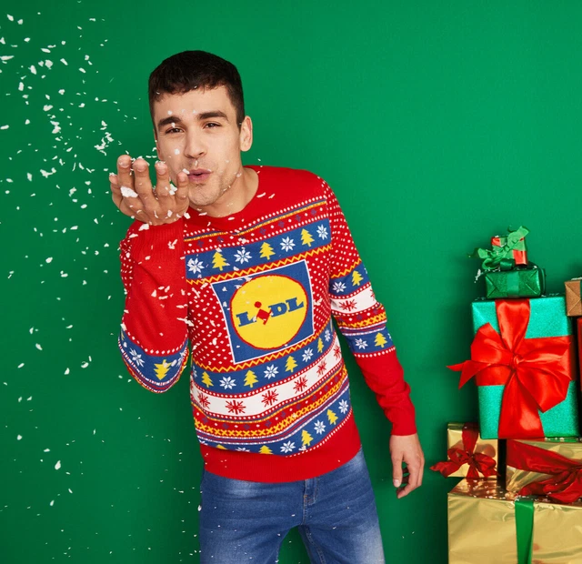 Pull de noel homme lidl deals