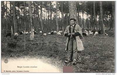 CPA 40-3884 Berger Landais gardant son Troupeau 