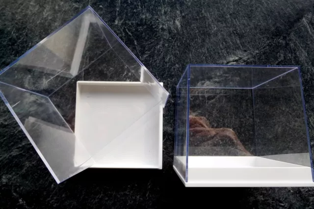 Large Perspex Clear Lid Square Fossil Specimen Gem Display Box 8cm x 8cm 2/5/10