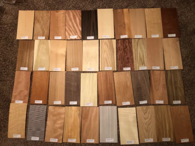 40- 6" x 12" Labeled Wood Veneer Pieces 20 Square Feet Exotic Domestic Marquetry