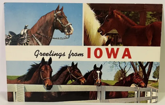 Postcard Greetings from Iowa Multi View Banner Horses