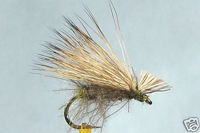 5 Pezzi Di Mosche Secche Emergenti INVERSE Per Pesca A Mosca | H12/14/16 Fliegen Dry Fly