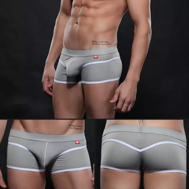 Sexy Men Briefs Mesh See-through Pouch Boxer Bikini Underwear Soft  Breathable