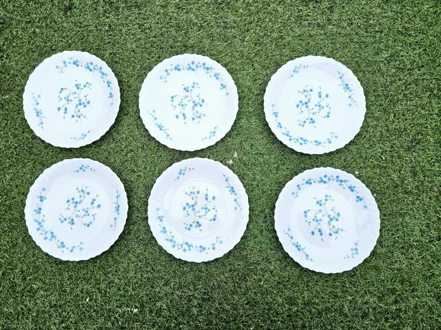 6 Assiettes à Dessert Arcopal Modèle Myosotis Veronica Verre Rond Multicouleur