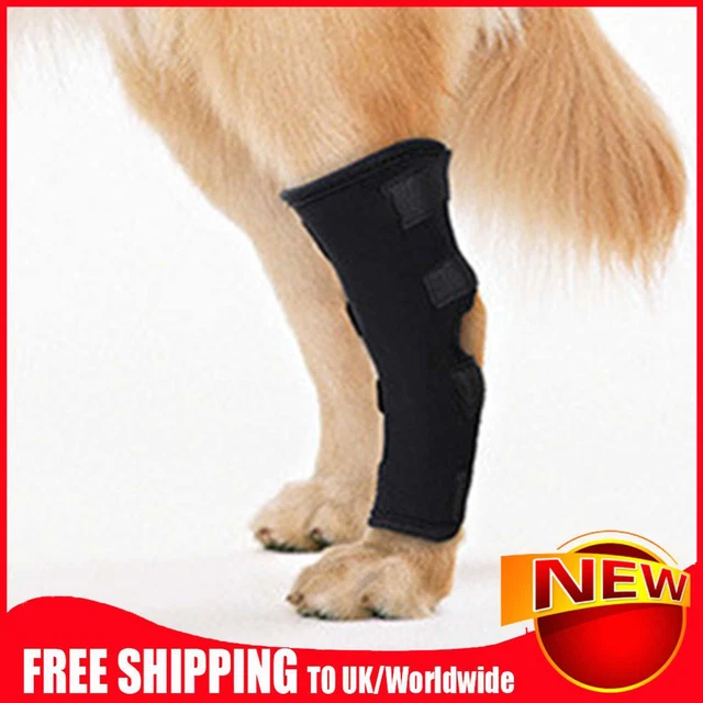Soporte para corvejones para perro protector de rodilla para mascotas impermeable vendaje para heridas de cachorro (negro S)