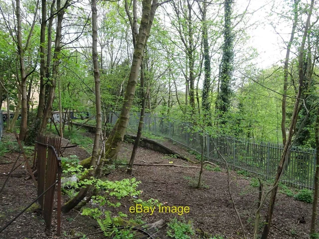 Photo 6x4 Kirklee railway station (site), Glasgow Dowanhill Opened in 189 c2019