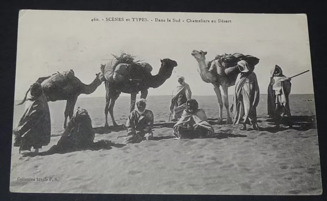 Cpa Carte Postale 1918 Colonie Francaise Maroc Maghreb Afrique Chameliers Desert