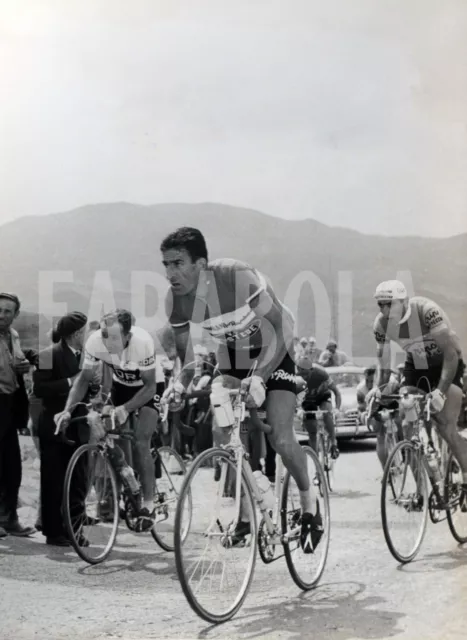 Photo de presse vintage Cyclisme, Raphael Geminiani, Giro Italie 1957, tirage