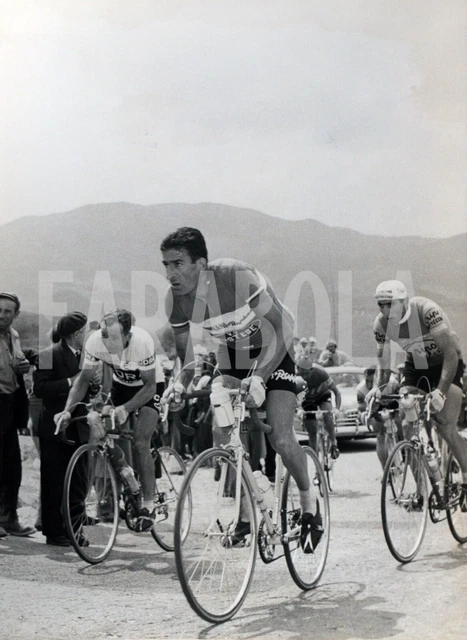 LEADER DU CLASSEMENT GÉNÉRAL - MAILLOT FEMME