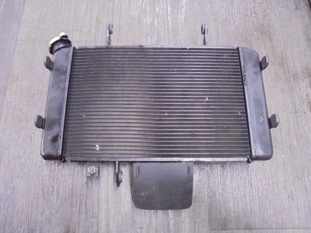 Suzuki DL 650 V STROM 2015-2016 Kuhler (Radiator) 201610323