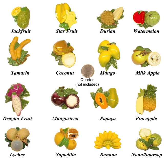 Refrigerator Magnets Exotic Fruits For Your Fridge Set of 5,10,16 Pieces SALE!