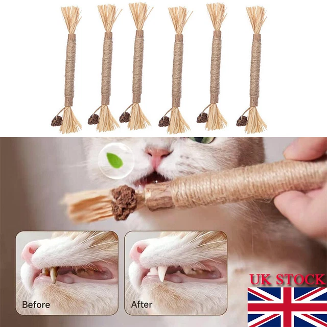 Catnip Toys Cat Wand Natural Silvervine Sticks Cat Toys For Chew Pet Cats Toy UK