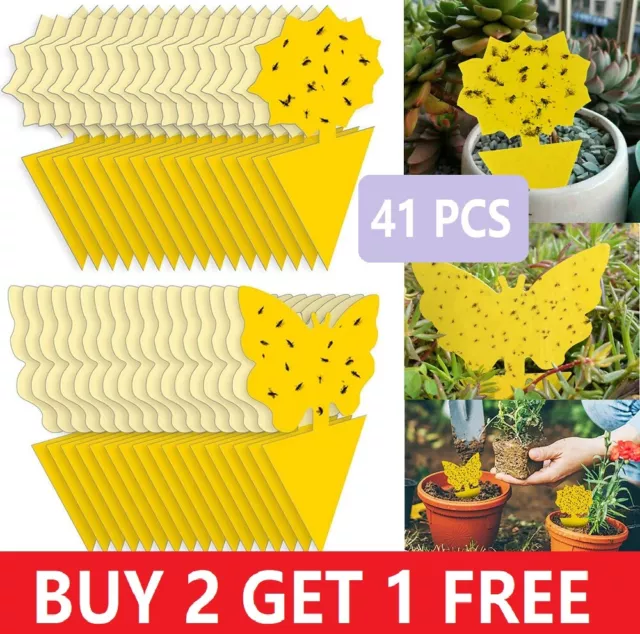 41 Pack Fruit Fly Traps Yellow Fungus Gnat Killer, Double-sided Sticky Fruit Fly