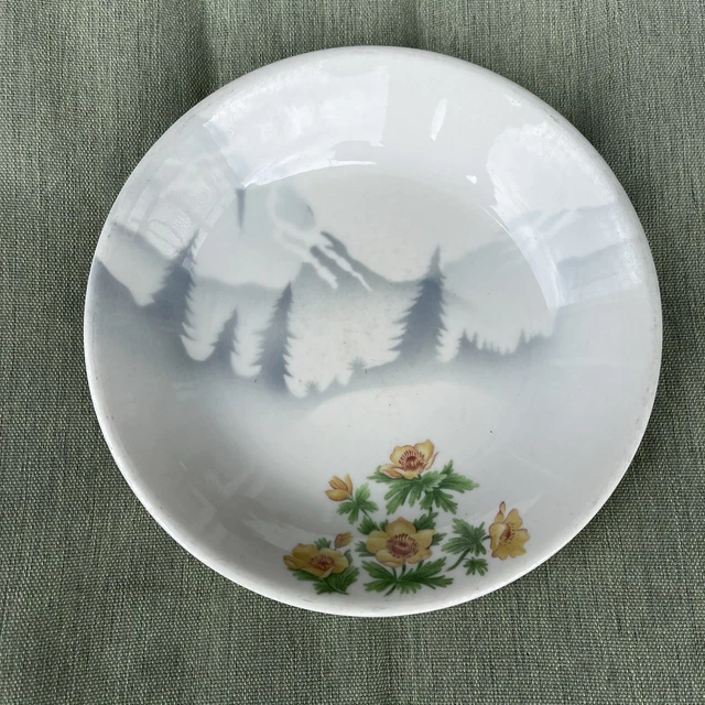 Great Northern Railroad Prairie Mountain and Flowers Pattern Syracuse China Bowl