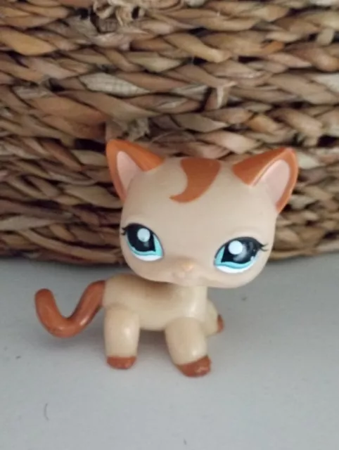 Littlest PET SHOP - Authentic # 1024 Chat Européen cat Hasbro petshop LPS