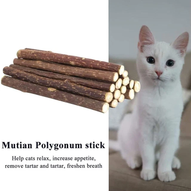 Catnip Cat Sticks Natural Matatabi Silvervine Chew 10Pcs Cleaning Teeth Toy K0O3