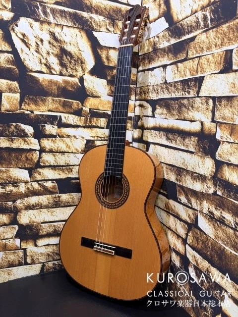 Guitarras clásicas y españolas, Guitarras y bajos, Instrumentos