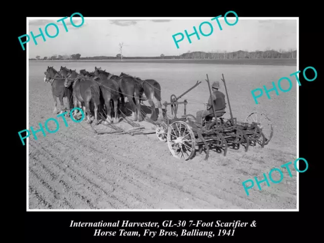 Old Historic Photo Of International Harvester Gl-30 Scarifier Horse Team 1941