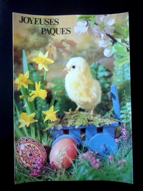 AG13 CPA FANTAISIE Gaufré Heureuse Paques angelot sur un oeuf