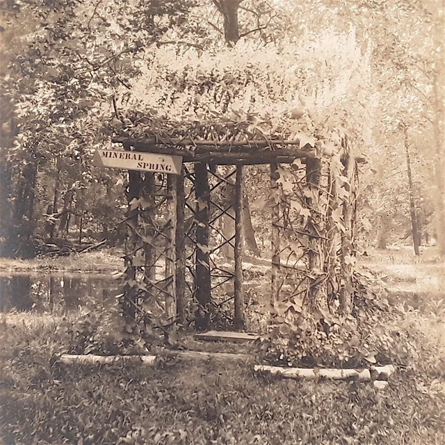 RPPC Crystal Springs Michigan Mineral Spring Well Arbor Gazebo Postcard 1904-18
