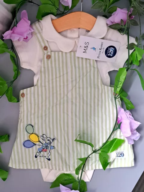 Baby Girl 3-6 Months BNWT M&s Peter Rabbit Dress Set