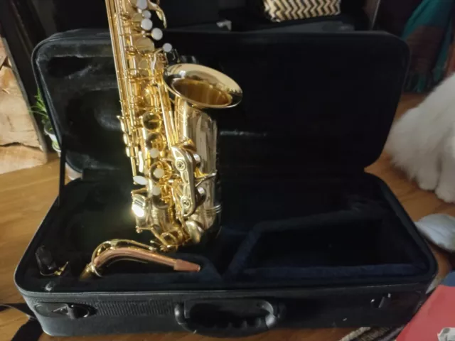 Saxophone Alto avec bocal en cuivre rose et tampons de fabrication Selmer 2
