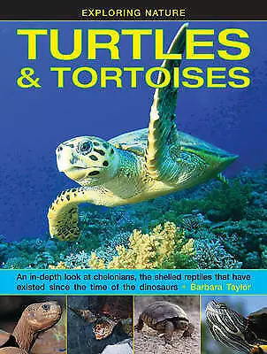 Exploring Nature: Turtles & Tortoises by Taylor Barbara (Hardcover, 2015)