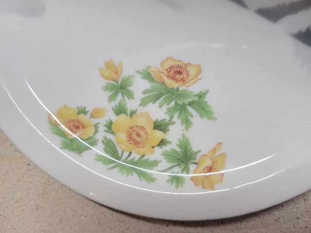 SYRACUSE Great Northern Railroad Mountains & Flowers Restaurant Ware Plate 7.25" 2