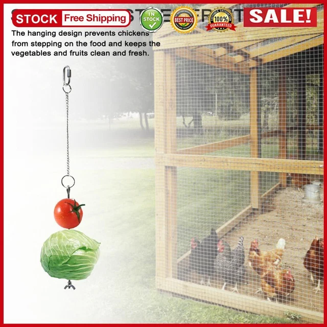 NEW CHICKEN VEGGIES Skewer Fruit Holder Bird Vegetable Hanging Foraging