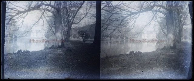 FRANCE Family NEGATIVE PHOTO Amateur Stereo Glass Plate VR22L11n13
