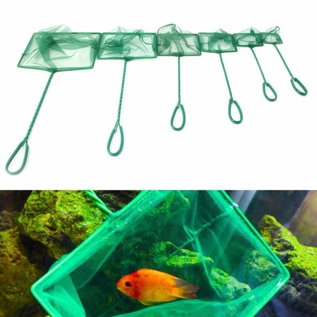 Portable Square Fish Net Aquarium Fish Tank Net Shrimp Small Fish Net For Crab