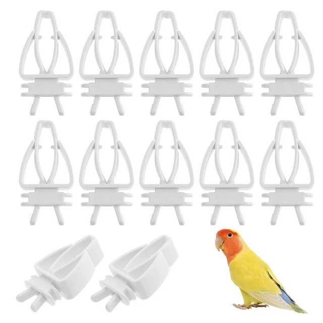 12 Pcs Bird Food Holder Vegitable Clips Animal For Cockatiel Cockatoo Tool