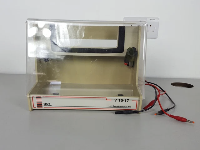 Life Technologies BRL V15-17 Polyacrylamide Gel Electrophoresis Unit Lab