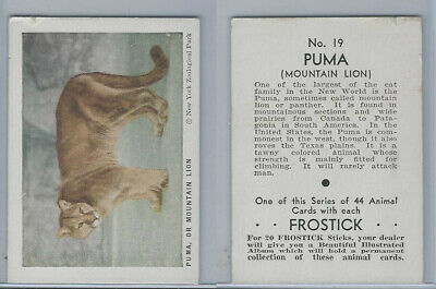 F55 Frostick, Animal Cards, 1933, #19 Puma or Mountain Lion