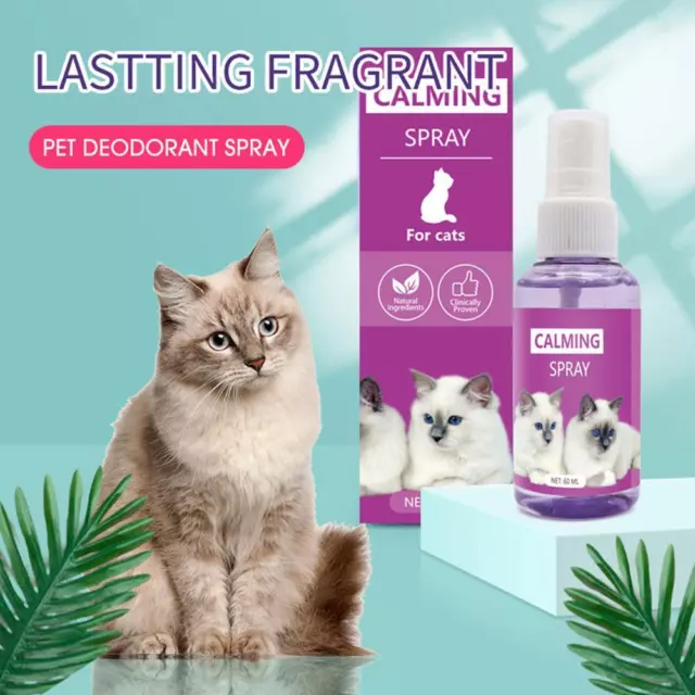 Calming Spray For Cats Reduce Your Pet’s Anxiety Aggressions Reliefs Y2U0