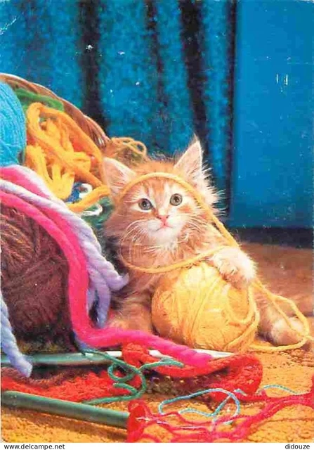 Vieille Carte Postale CPA CHAT CHAT – Animaux Vintage, Modèle PKE751.F