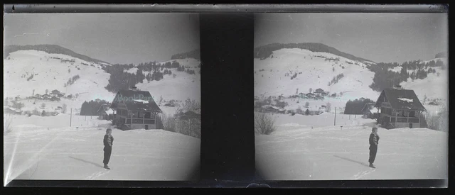 France Snow Mountain NEGATIVE Photo Stereo Glass Plate VR11r3  