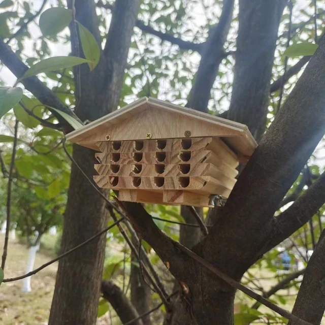 Hotel de abejas al aire libre hábitat sólido jardín patio habitación hábitat de abejas resistente