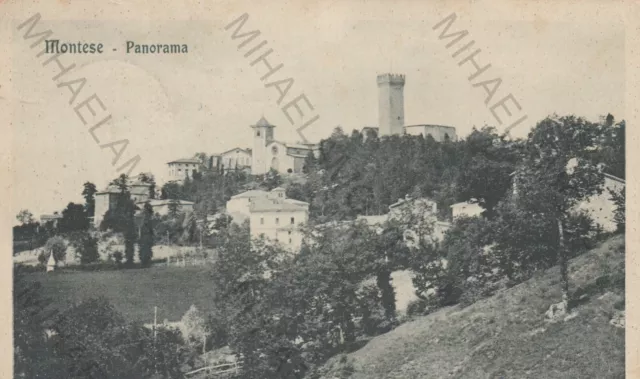 Cartolina Montese Modena Emilia Romagna Panorama Formato Piccolo Viaggiata 1928