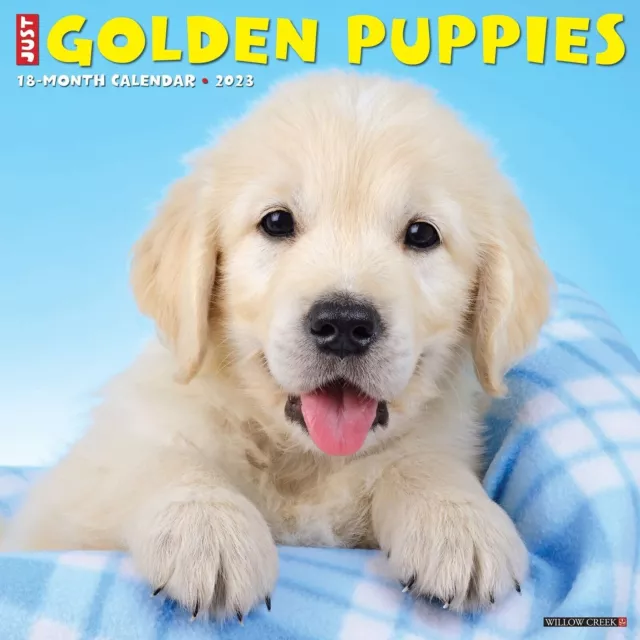 Just Golden Retriever Puppies 2023 18 Month Wall Calendar Willow Creek NEW NIS