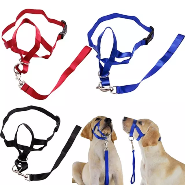 Dog Harness Muzzle Anti Bite Halter Leader Belt Head Collar Strap Training Leash