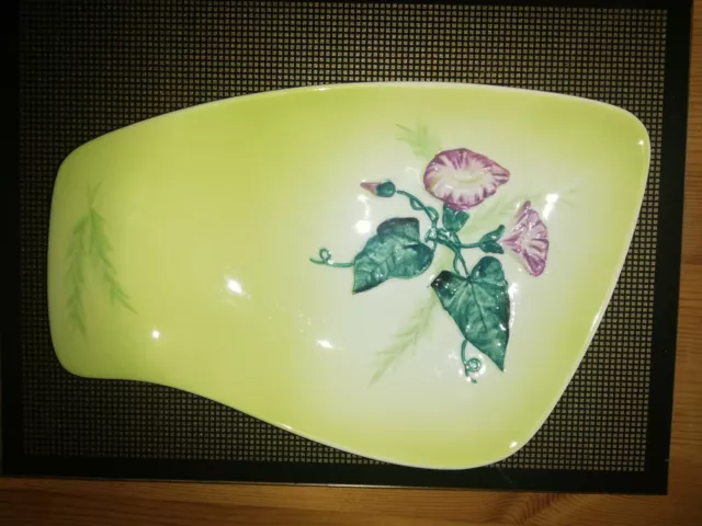 Vintage light green Carlton Ware Hand Painted Australian design flowers